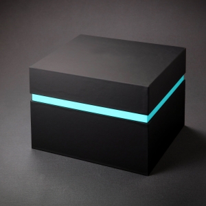 Duo Tone Box with Magnetic Shoe Box Lid