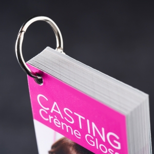 L'Oreal - Casting swatch book